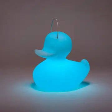 Canard flottant Lumineux Blanc