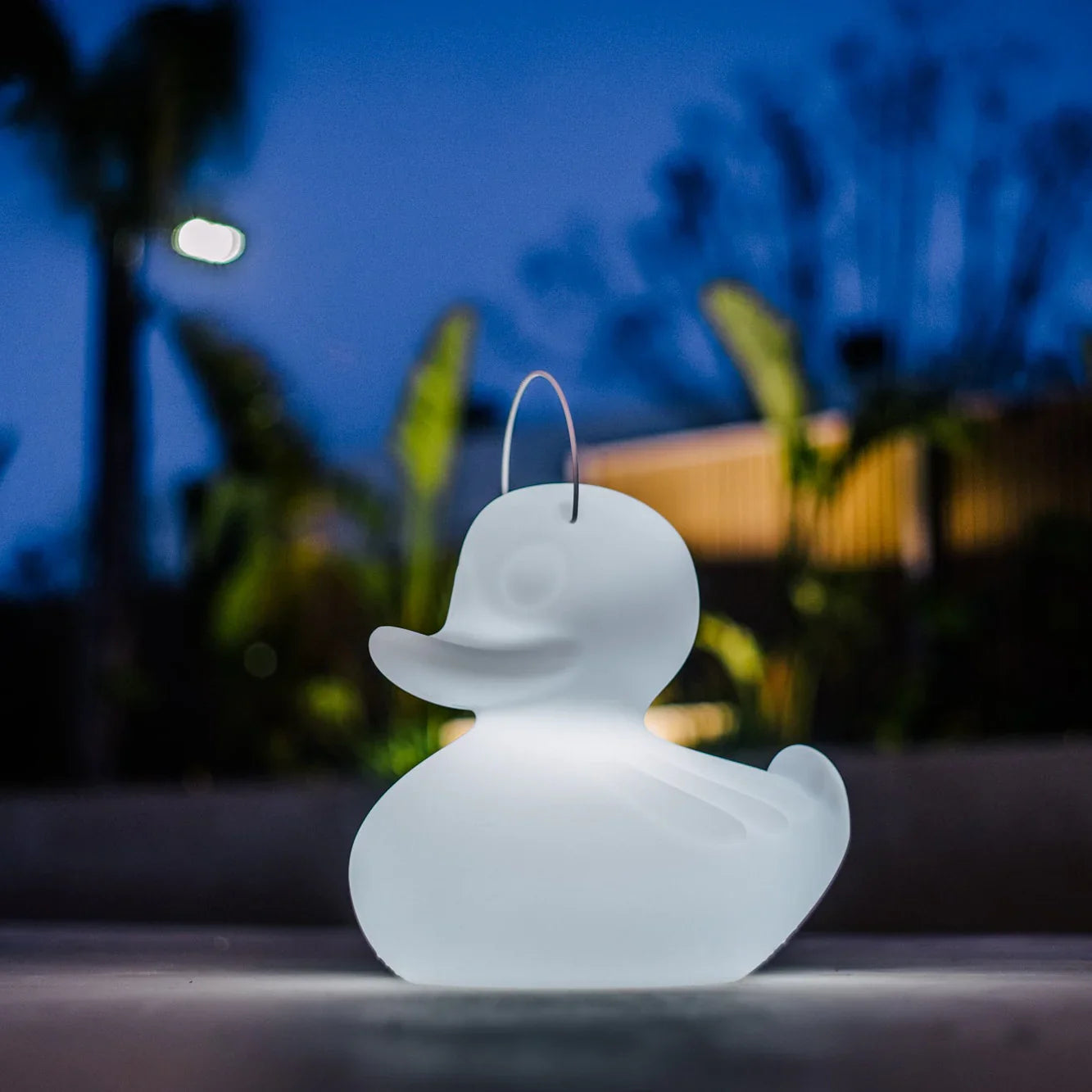 Canards lumineux et flottants LED pour piscine et jardin – Collection Decolucce