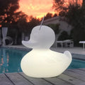 "Lampe canard flottant LED blanc MEGA illuminé dans piscine"
