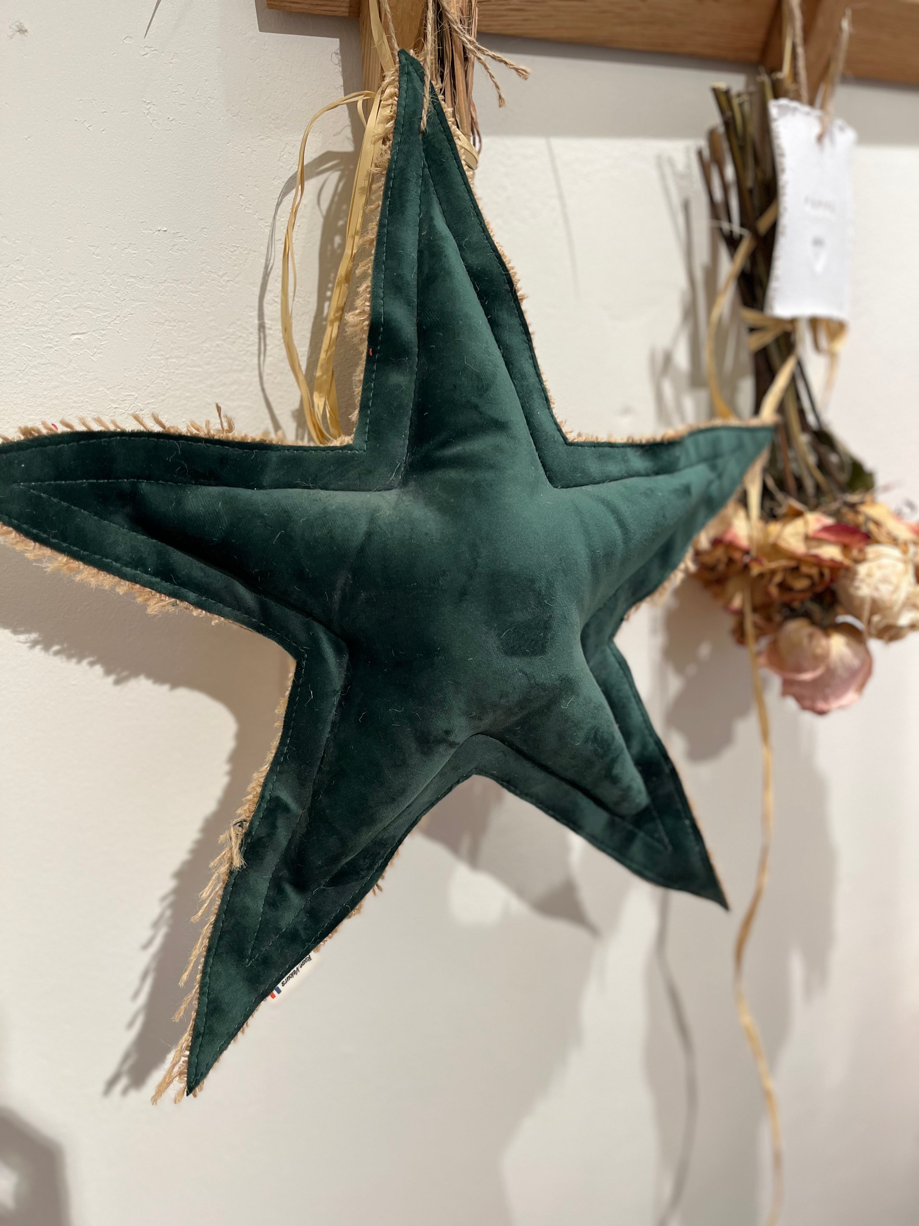 Etoile en velours lisse artisanale verte