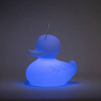 Lampe Canard Flottant Lumineux LED Blanc XL - Décoration intérieure | DECOLUCCE
