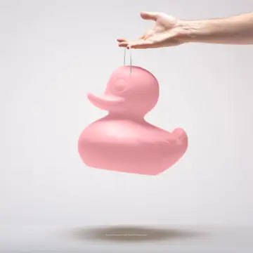 Canard flottant Lumineux ROSE