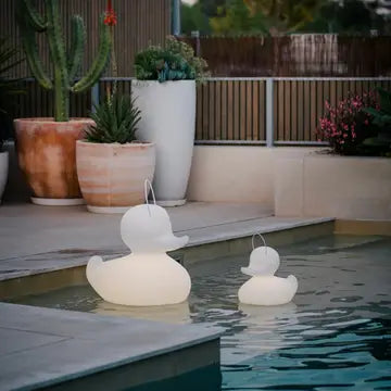 Canard flottant Lumineux Blanc