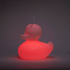 Lampe Canard Flottant Lumineux LED Blanc XL - Décoration intérieure | DECOLUCCE