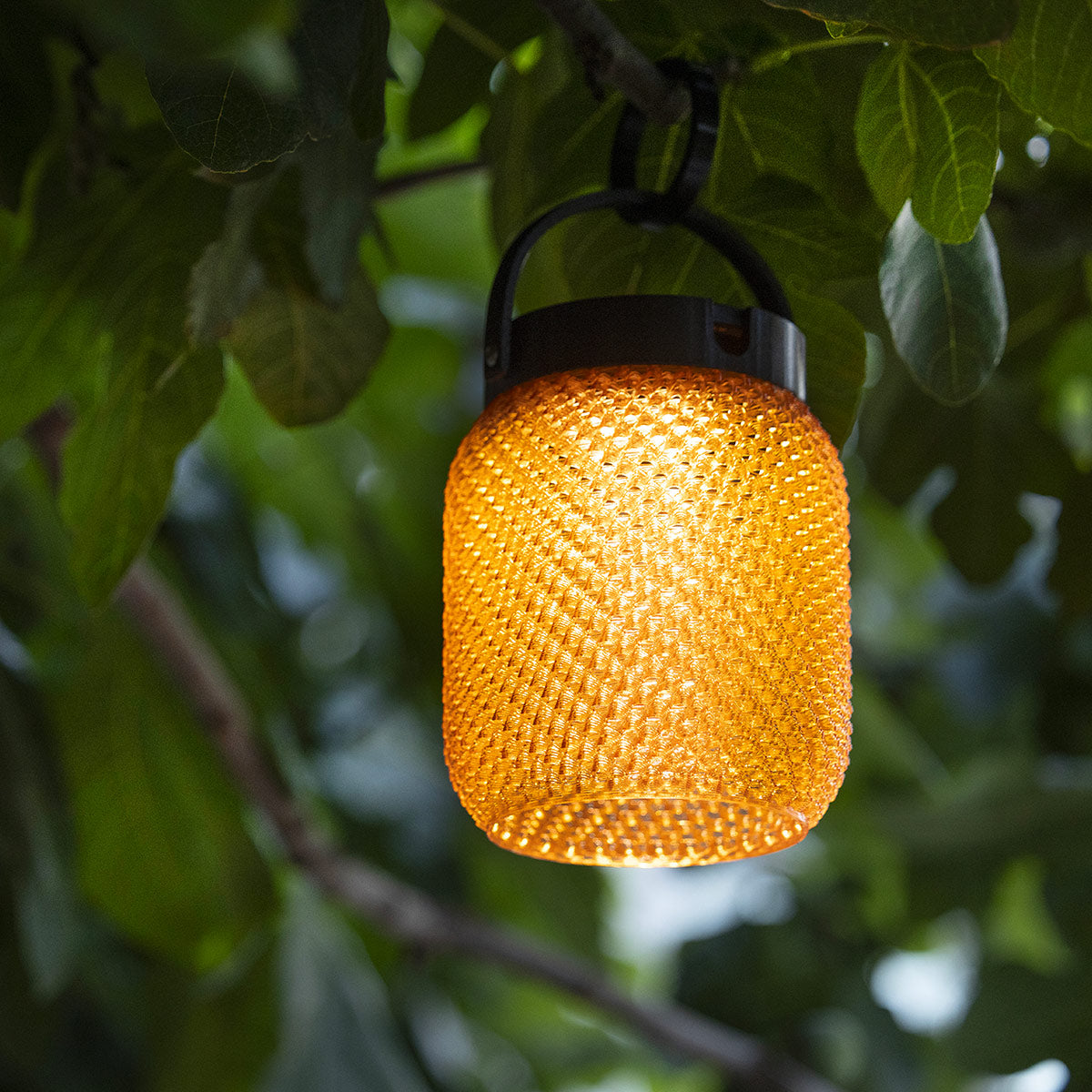 Lampion solaire rechargeable Lolie - Safran Les Jardins